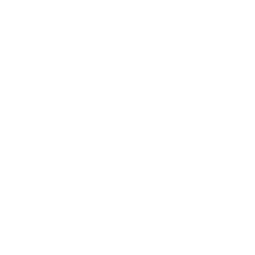 Dinner Plate